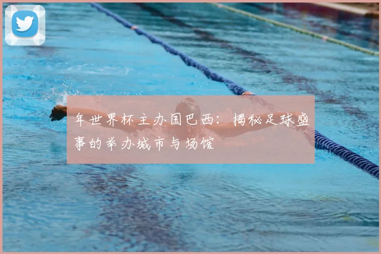 年世界杯主办国巴西：揭秘足球盛事的举办城市与场馆