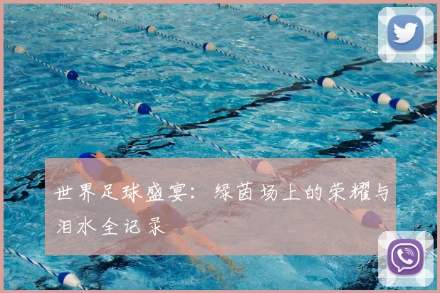 世界足球盛宴:绿茵场上的荣耀与泪水全记录