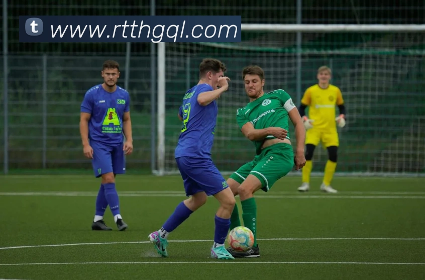 登录器 登录器